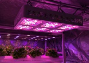 best led light for 4x4 grow tent